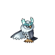 Noctowl-C4