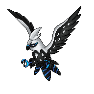 Talonflame-C