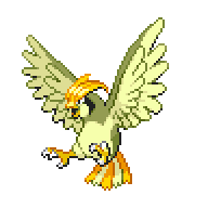 Pidgeotto shiny