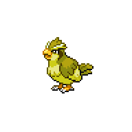 Pidgey shiny