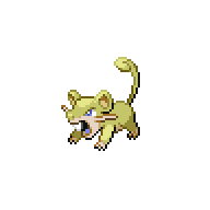 Rattata shiny