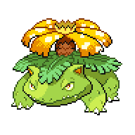 Venusaur shiny